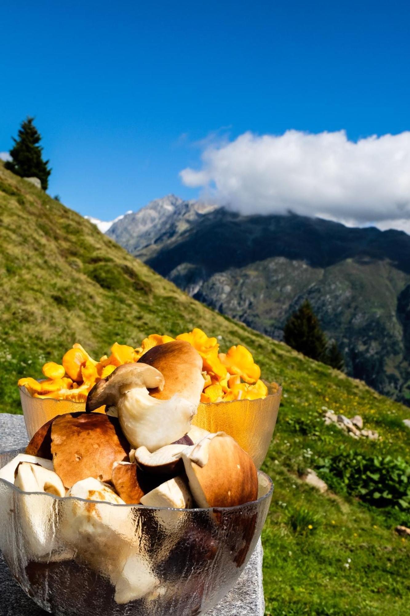 Alphuette Bielerchaeller Villa Fiesch Exteriör bild