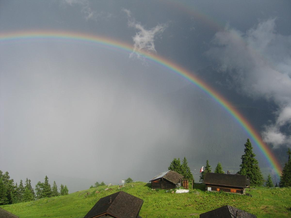 Alphuette Bielerchaeller Villa Fiesch Exteriör bild