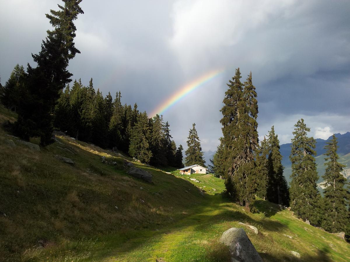 Alphuette Bielerchaeller Villa Fiesch Exteriör bild
